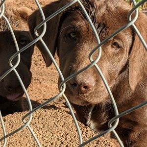 Meet your Posher, Johnny